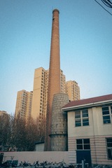 1000066919