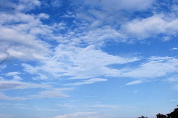 FBD537B8-2843-4D66-B294-F57158522076/L0/001