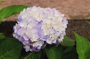 A1416549-BAC6-480C-81E0-6A38A1191F73/L0/001