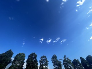 8A657A46-66F5-4FFC-8C0E-A7B4CBBA46B9/L0/001