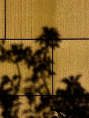 8B83E114-FF3D-4657-A2EC-625A05B40D1E/L0/001