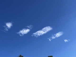 108875D6-93AF-44F0-80A0-9C9E9CADB3EA/L0/001