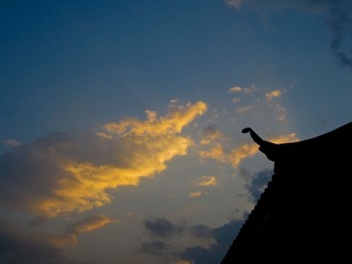 IMG_0361.jpg