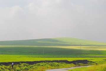 188331