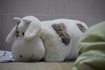 _IGP6895.JPG
