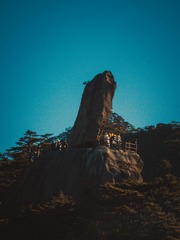 1000060820