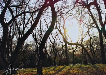 C37CD6FD-5821-420F-B409-E46B527423C4/L0/001