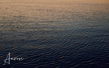 0429B5AB-B3B5-4652-B8B4-1C6529BCA295/L0/001