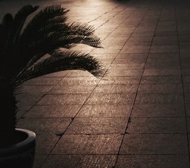 3AB49700-3164-47BF-B0E8-FAF869FAB645/L0/001