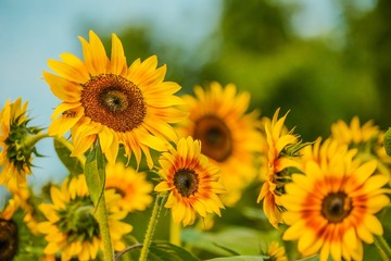 F23F7921-FE33-4FB3-95C9-03611C75ED3A/L0/001