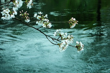 16B10F0E-13C1-49E3-9D0D-55341D299520/L0/001