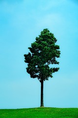 E928CF55-784C-4A10-8F70-2DF37E0E6EB0/L0/001