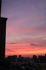 C0A77BC2-F355-462A-A15C-397A1D4D810A/L0/001
