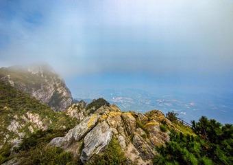 1000162864