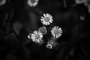 5C758A0E-CF0B-4CFF-877E-0E4488DFE58D/L0/001