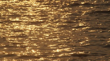 1548D662-BB92-49F4-90F0-D3DF823387AB/L0/001