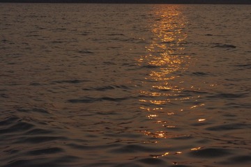 2E0EE37A-E285-4EAB-AB34-2D870E3F570C/L0/001