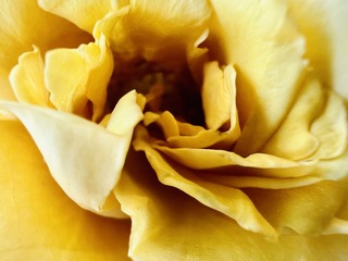 099E6A93-CC75-4C54-AC82-170CD9CDAA39/L0/001