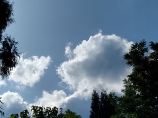 452826