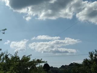 452829