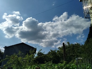 452817