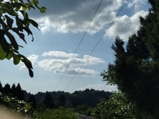 452827