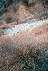 Scan-140723-0001