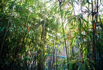 Scan-140723-0024