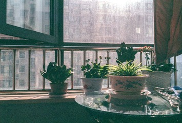 Scan-140723-0036