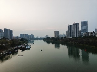 1000014264