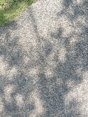 25354