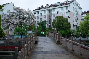 P1108946