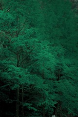 3310F01C-E929-4A2F-B324-F00DD644E13D/L0/001