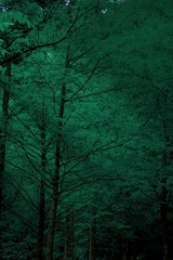1C6AB8A6-4A32-4CFF-B57E-540901C6A401/L0/001