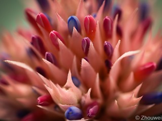 A3043D26-0A5B-4A75-93D5-2914CBAE8F4B/L0/001