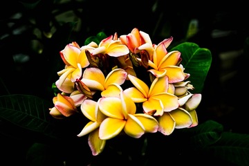 3D39BDDE-EE4F-472C-B76A-D1E21D826DA5/L0/001
