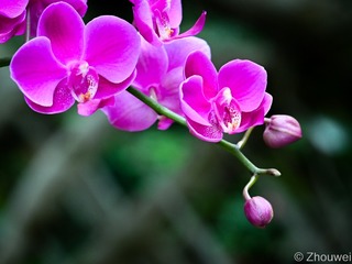 BE2527F4-5529-4A67-95E8-D56806EDCB5D/L0/001