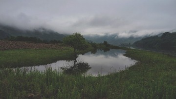 484244