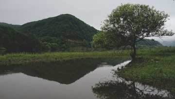 484243