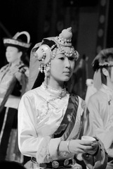 高原红.jpg