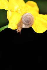 DSC_7986.JPG