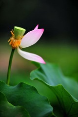 DSC_4157.JPG