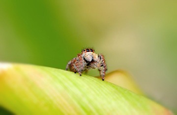 DSC_9623 副本.jpg