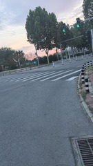 1000011843