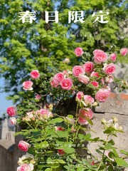 30FEBE65-515F-4BA4-B613-CBCF7BFC3EDD/L0/001