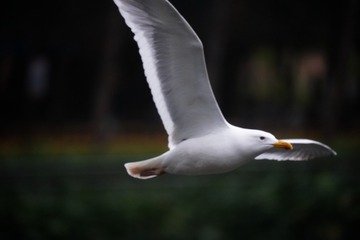 798552