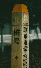 1000033927