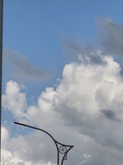 1000016475