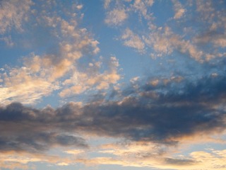 B312C56F-531B-4E85-B214-5292E602B229/L0/001