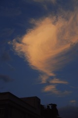 E5087D8E-0CA6-4649-9AE5-CCB1284EA9AB/L0/001